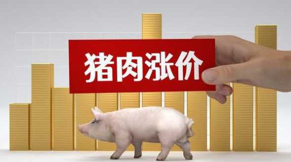 环保猪肉价格上涨 猪肉价格上涨原因是什么会造成哪些影响