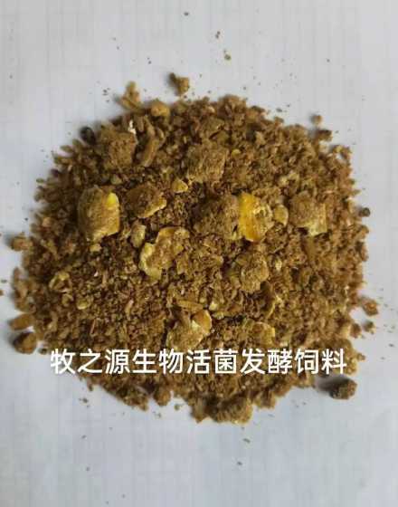 活菌发酵饲料优点 猪喂发酵饲料有哪些优点