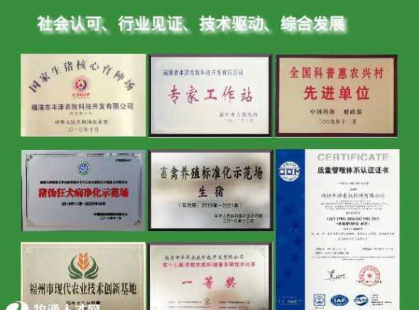 福建丰泽饲料价格 福建丰泽农牧饲料有限公司的产品